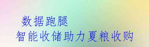 数据跑腿 智能收储助力夏粮收购