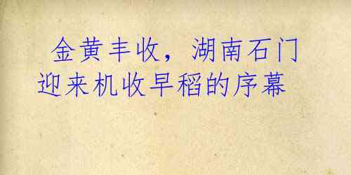 金黄丰收,湖南石门迎来机收早稻的序幕