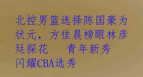 北控男篮选择陈国豪为状元，方佳晨榜眼林彦廷探花   青年新秀闪耀CBA选秀 