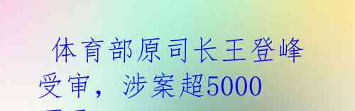  体育部原司长王登峰受审，涉案超5000万元 