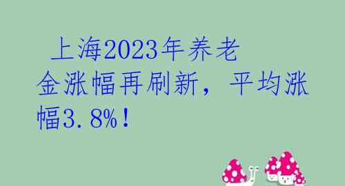 上海2023年养老金涨幅再刷新,平均涨幅3.8%!