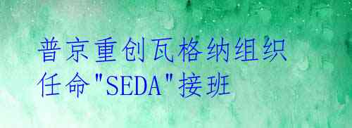 普京重创瓦格纳组织 任命"SEDA"接班