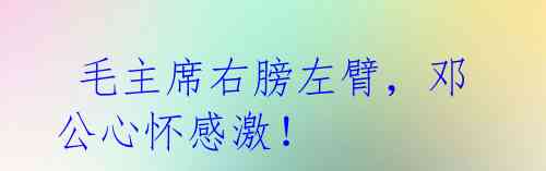 毛主席右膀左臂,邓公心怀感激!