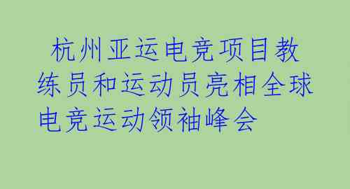  杭州亚运电竞项目教练员和运动员亮相全球电竞运动领袖峰会 