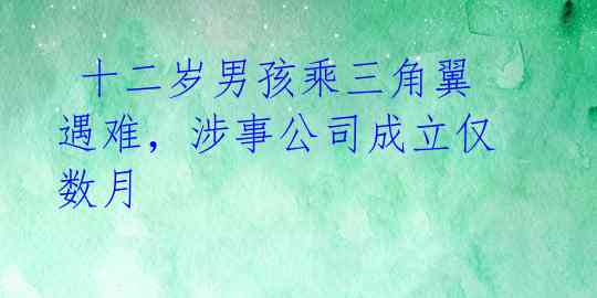  十二岁男孩乘三角翼遇难，涉事公司成立仅数月 