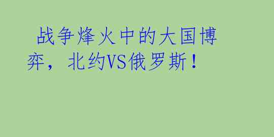  战争烽火中的大国博弈，北约VS俄罗斯！ 
