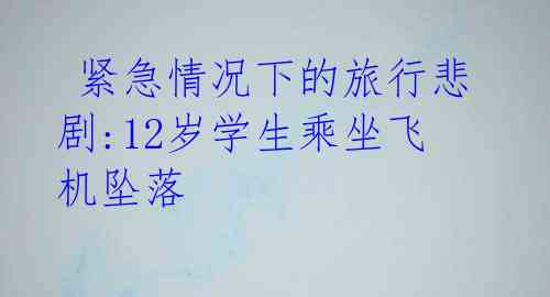 紧急情况下的旅行悲剧:12岁学生乘坐飞机坠落
