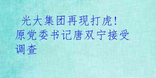 光大集团再现打虎!原党委书记唐双宁接受调查