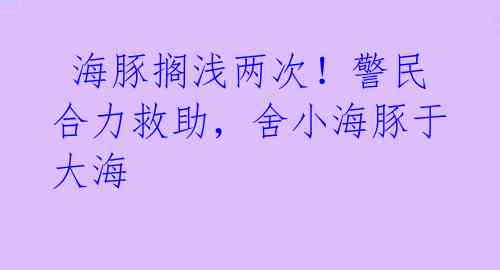  海豚搁浅两次！警民合力救助，舍小海豚于大海  