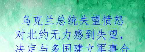 乌克兰总统失望愤怒对北约无力感到失望,决定与多国建立军事合作联盟