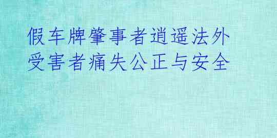 假车牌肇事者逍遥法外 受害者痛失公正与安全