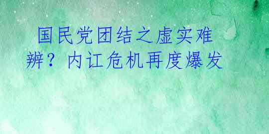  国民党团结之虚实难辨？内讧危机再度爆发 