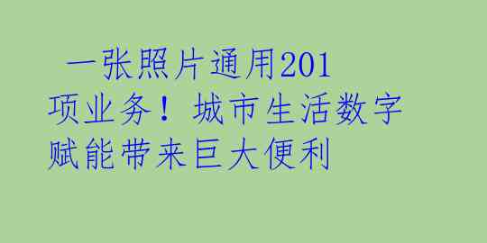  一张照片通用201项业务！城市生活数字赋能带来巨大便利 