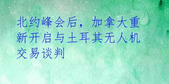 北约峰会后，加拿大重新开启与土耳其无人机交易谈判 