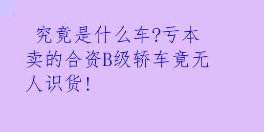 究竟是什么车?亏本卖的合资B级轿车竟无人识货!