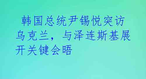 韩国总统尹锡悦突访乌克兰,与泽连斯基展开关键会晤