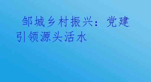 邹城乡村振兴:党建引领源头活水