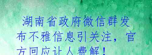 湖南省政府微信群发布不雅信息引关注,官方回应让人费解!