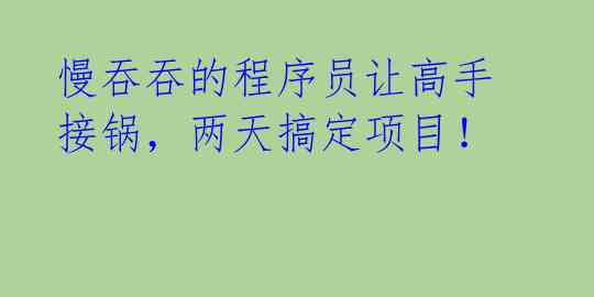慢吞吞的程序员让高手接锅,两天搞定项目!