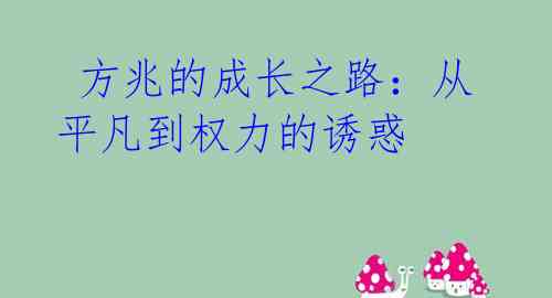 方兆的成长之路:从平凡到权力的诱惑