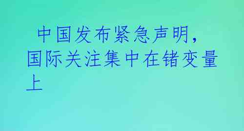  中国发布紧急声明，国际关注集中在锗变量上 