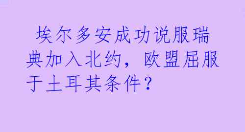 埃尔多安成功说服瑞典加入北约,欧盟屈服于土耳其条件?