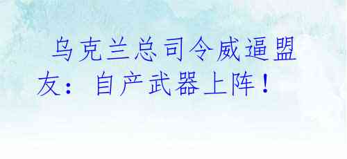 乌克兰总司令威逼盟友:自产武器上阵!