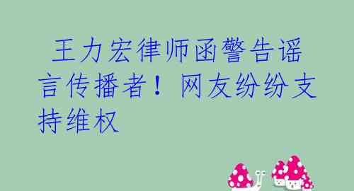 王力宏律师函警告谣言传播者!网友纷纷支持维权