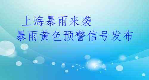 上海暴雨来袭 暴雨黄色预警信号发布