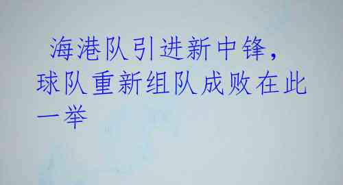 海港队引进新中锋,球队重新组队成败在此一举