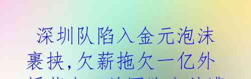 深圳队陷入金元泡沫裹挟,欠薪拖欠一亿外援薪水,前国脚主帅遭辞退!