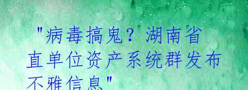 "病毒搞鬼?湖南省直单位资产系统群发布不雅信息"