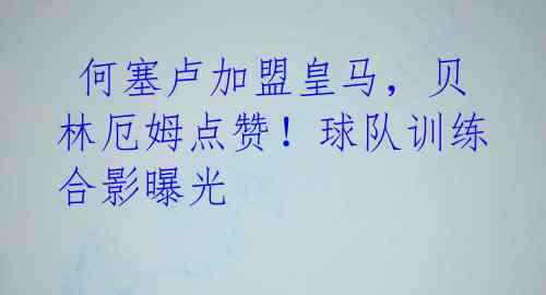 何塞卢加盟皇马,贝林厄姆点赞!球队训练合影曝光