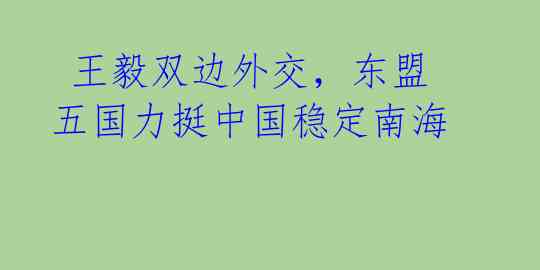 王毅双边外交,东盟五国力挺中国稳定南海