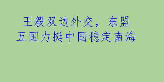  王毅双边外交，东盟五国力挺中国稳定南海 