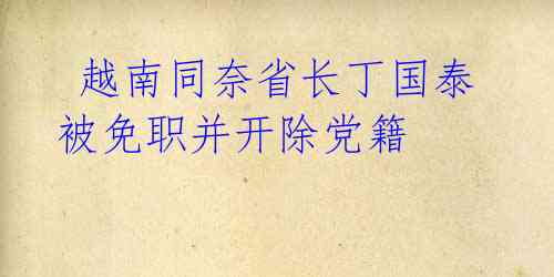  越南同奈省长丁国泰被免职并开除党籍 