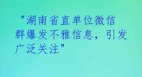 "湖南省直单位微信群爆发不雅信息,引发广泛关注"