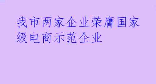 我市两家企业荣膺国家级电商示范企业