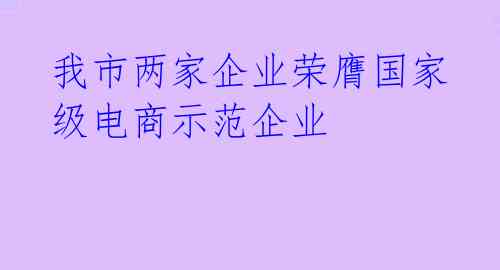 我市两家企业荣膺国家级电商示范企业 