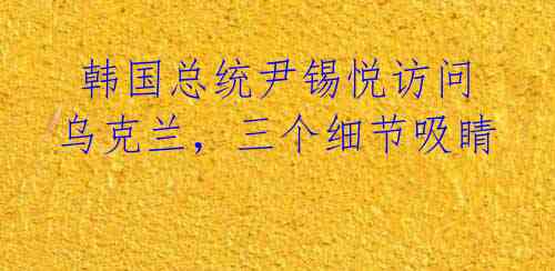 韩国总统尹锡悦访问乌克兰,三个细节吸睛