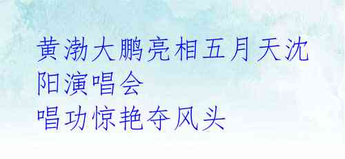 黄渤大鹏亮相五月天沈阳演唱会 唱功惊艳夺风头