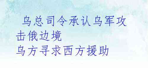  乌总司令承认乌军攻击俄边境 乌方寻求西方援助 