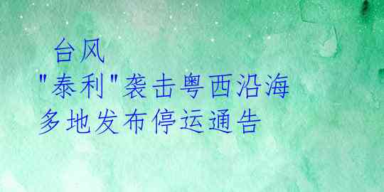 台风 "泰利"袭击粤西沿海 多地发布停运通告