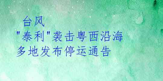  台风 "泰利"袭击粤西沿海 多地发布停运通告 