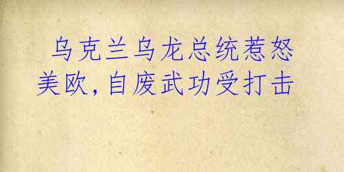 乌克兰乌龙总统惹怒美欧,自废武功受打击