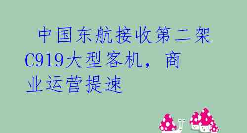  中国东航接收第二架C919大型客机，商业运营提速 