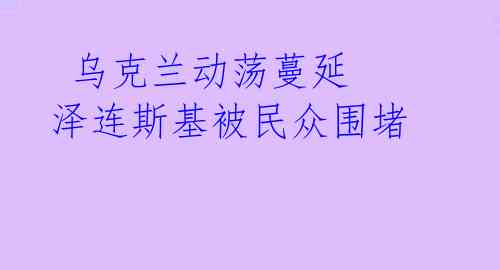  乌克兰动荡蔓延 泽连斯基被民众围堵 