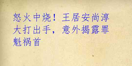 怒火中烧！王居安尚淳大打出手，意外揭露罪魁祸首