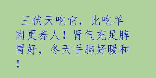  三伏天吃它，比吃羊肉更养人！肾气充足脾胃好，冬天手脚好暖和！ 