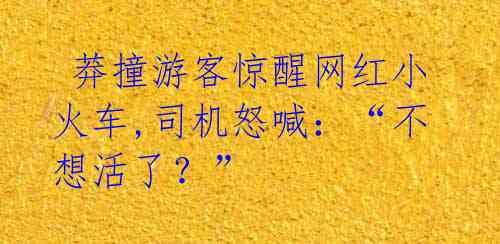  莽撞游客惊醒网红小火车,司机怒喊：“不想活了？” 